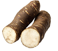 Burdock Root